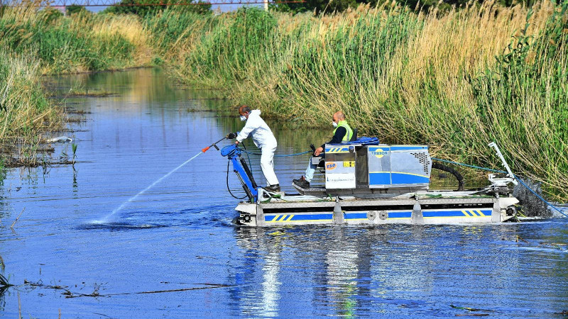 İzmir Büyükşehir'den 12 ay boyunca süreklilik gösteren vektör mücadelesi